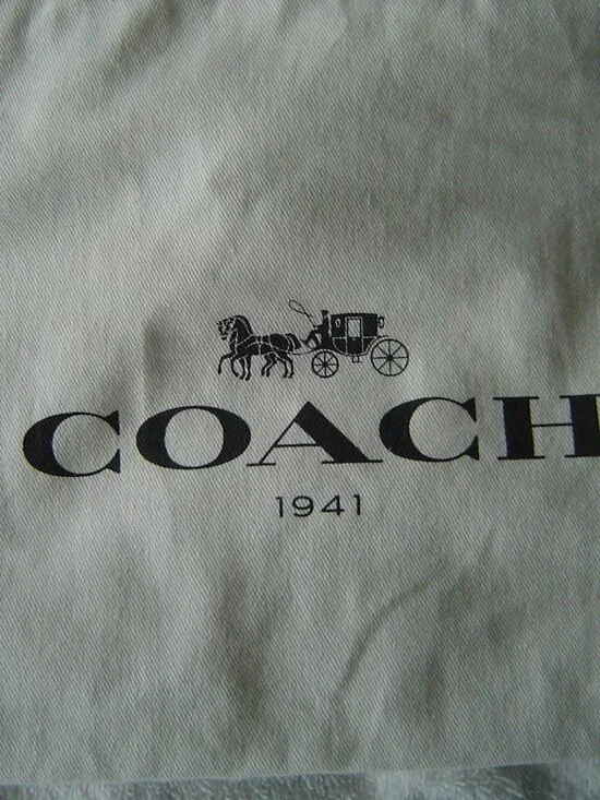 AUTHENTIC COACH LOT OF 3 COACH CANVAS DUST BAGS 12"X8" - Picture 3 of 9